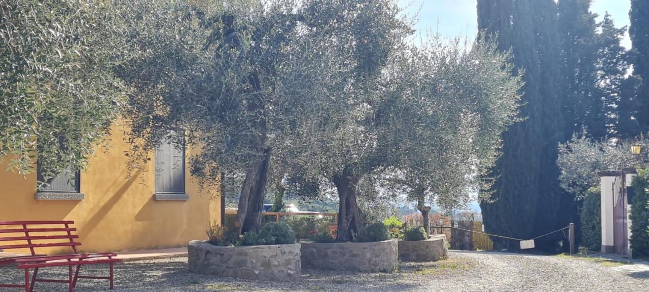 Agriturismo Il Pintello San Casciano in Val di Pesa Exteriör bild
