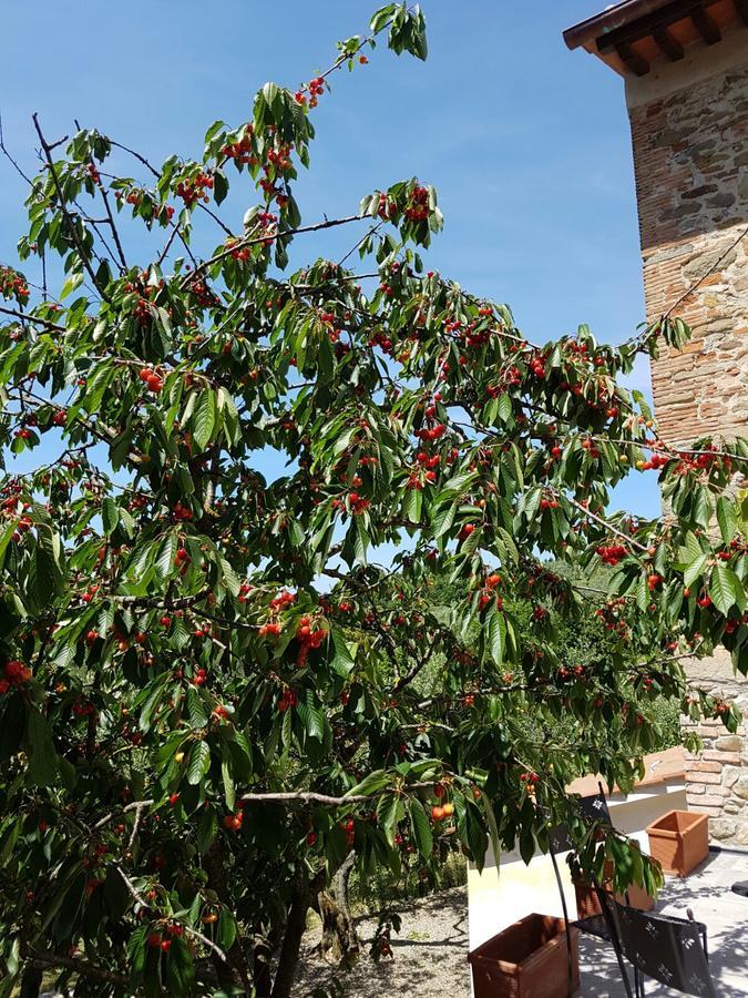 Agriturismo Il Pintello San Casciano in Val di Pesa Exteriör bild